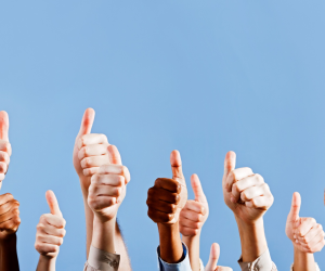 thumbs-up.webp